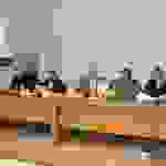 pav9