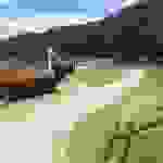 sam4