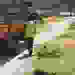 sam5