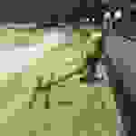 sam6