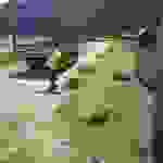 sam8