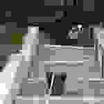 sam9