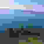 sp