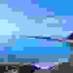 sp19