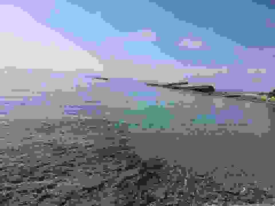 sp20
