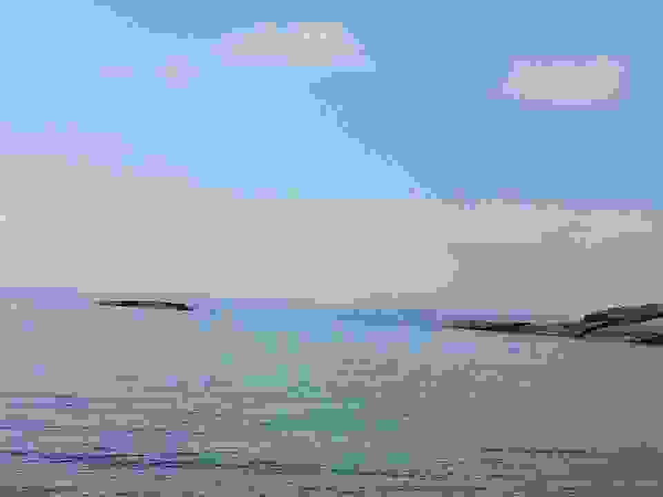 sp24