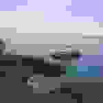 sp6