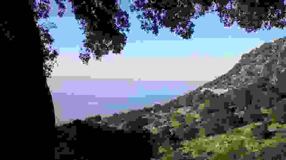 sp6
