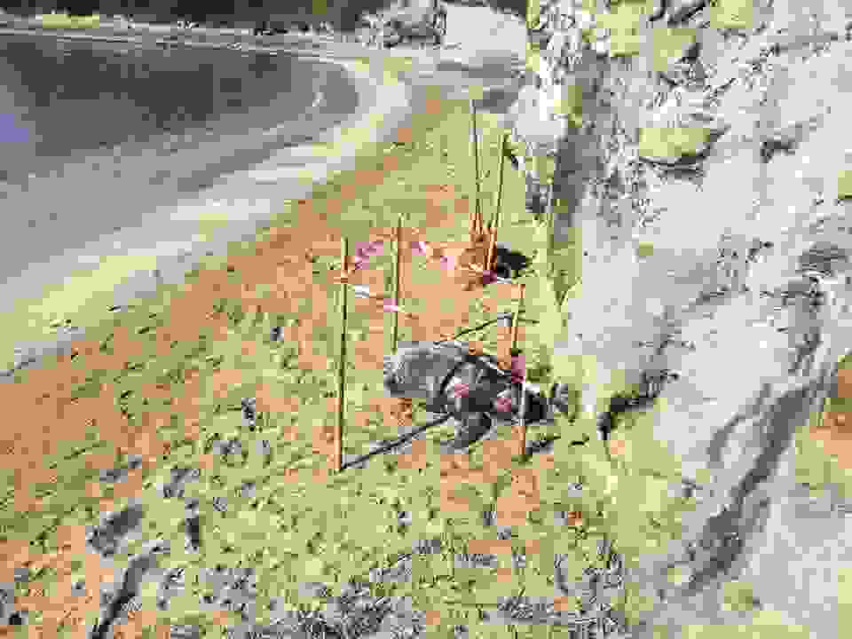 sp9
