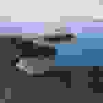 sp9