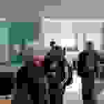 tas7