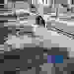 AN34