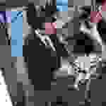 DSCN0003