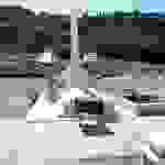 DSCN9954