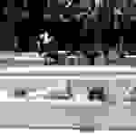 DSCN9970