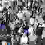 DSCN9987