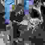 DSCN9995