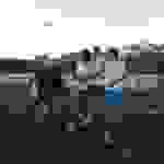 a82
