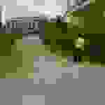 alex1