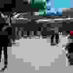 alex6