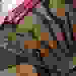 an100
