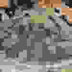 an106
