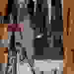 an113