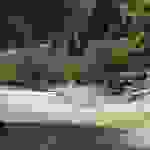an19
