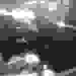 an21