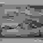 an21