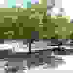 an28