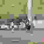 an30