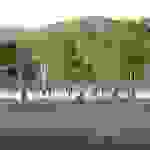 an31