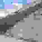 an