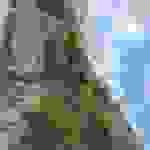an3