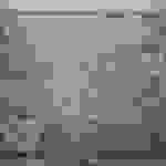 an38