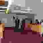 an41