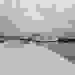 an41