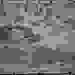 an43