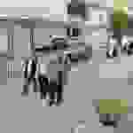 an46