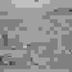 an50
