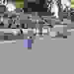 an50
