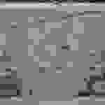 an51