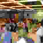 an5