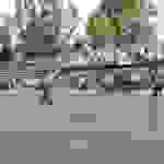an52