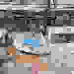 an5