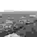 an59