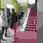 an6