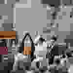 an62