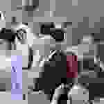 an63